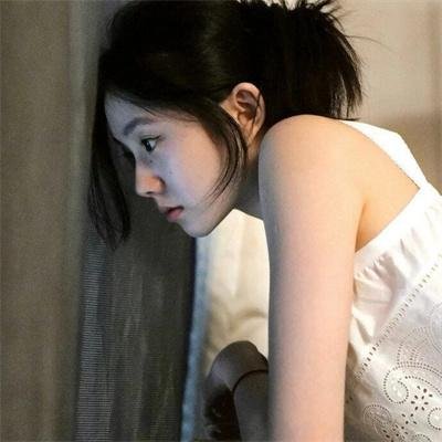 一只小蜘蛛
